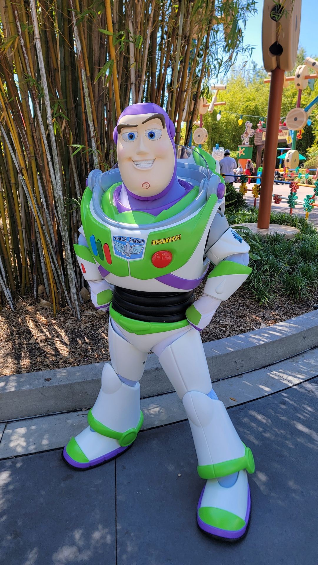 Theme Park Services